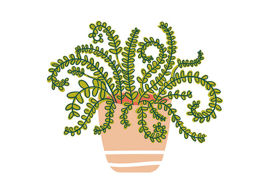 Houseplant Attachment