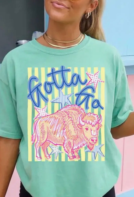 Gotta Go Buffalo T-Shirt