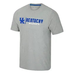 Herald gray UK tshirt