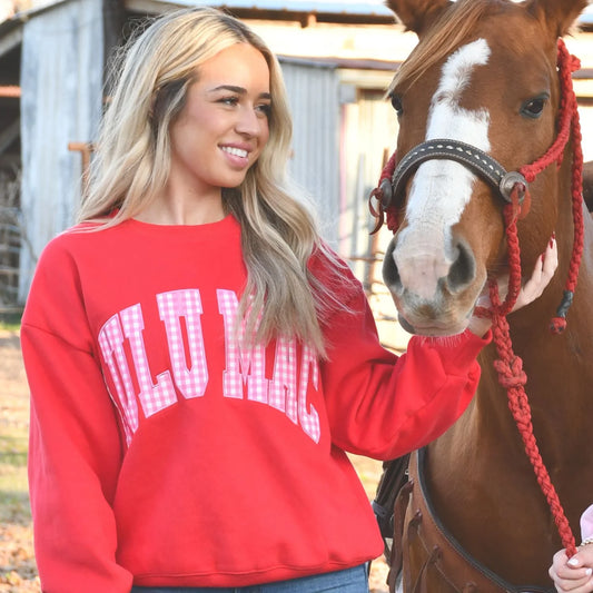 Lulu Mac red with pink gingham check sweatshirt